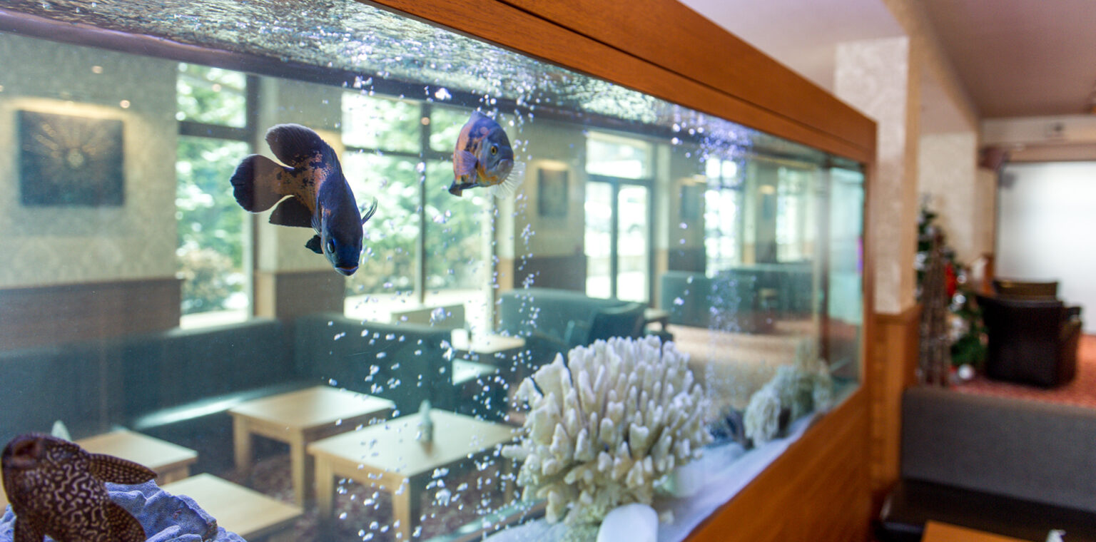 vihren-palace-hotel-bansko-aquarium